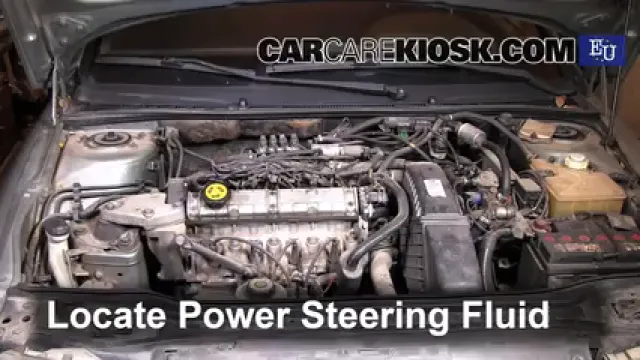 1997 Renault Laguna Combi 1.6L 4 Cyl. Power Steering Fluid Add Fluid